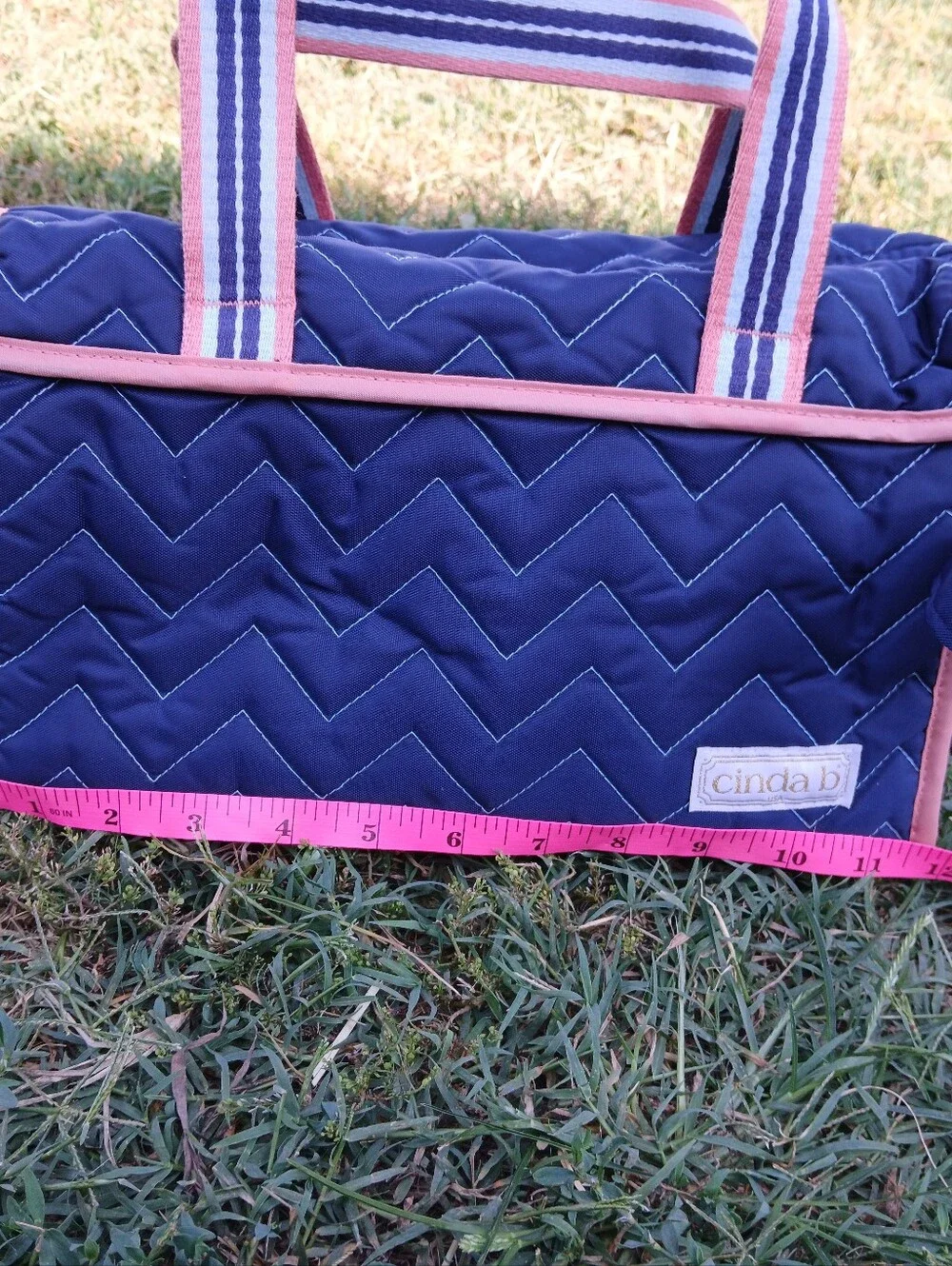 Cinda B satchel